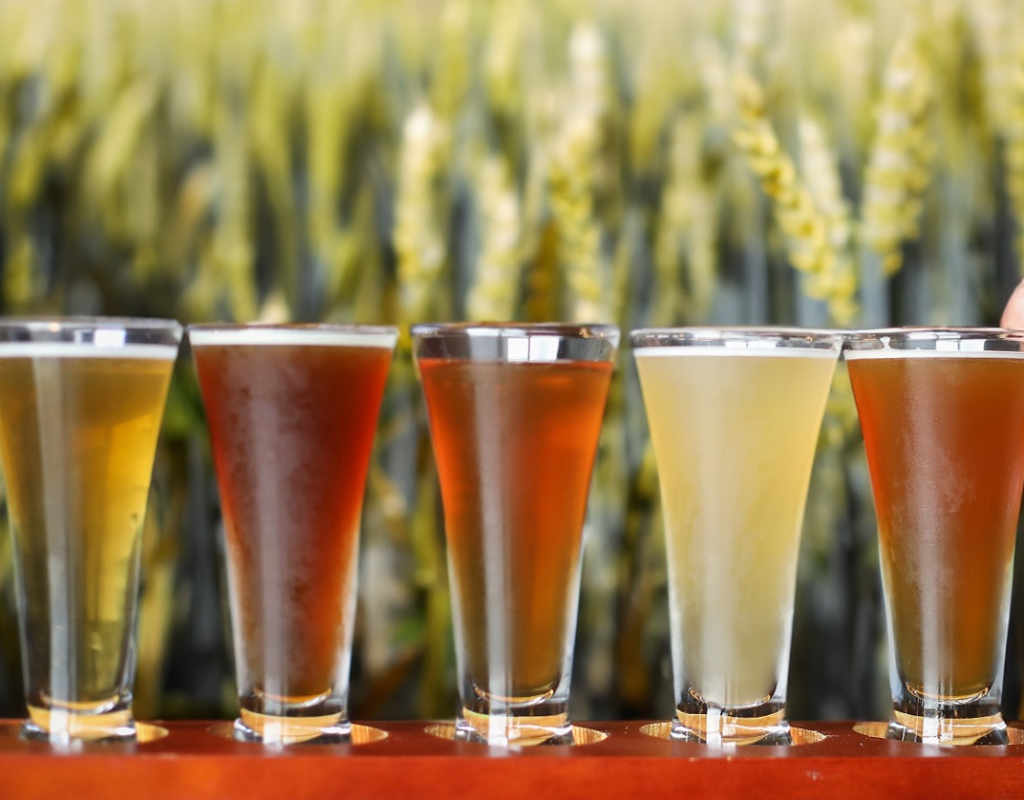 FOK Brewing Co.
