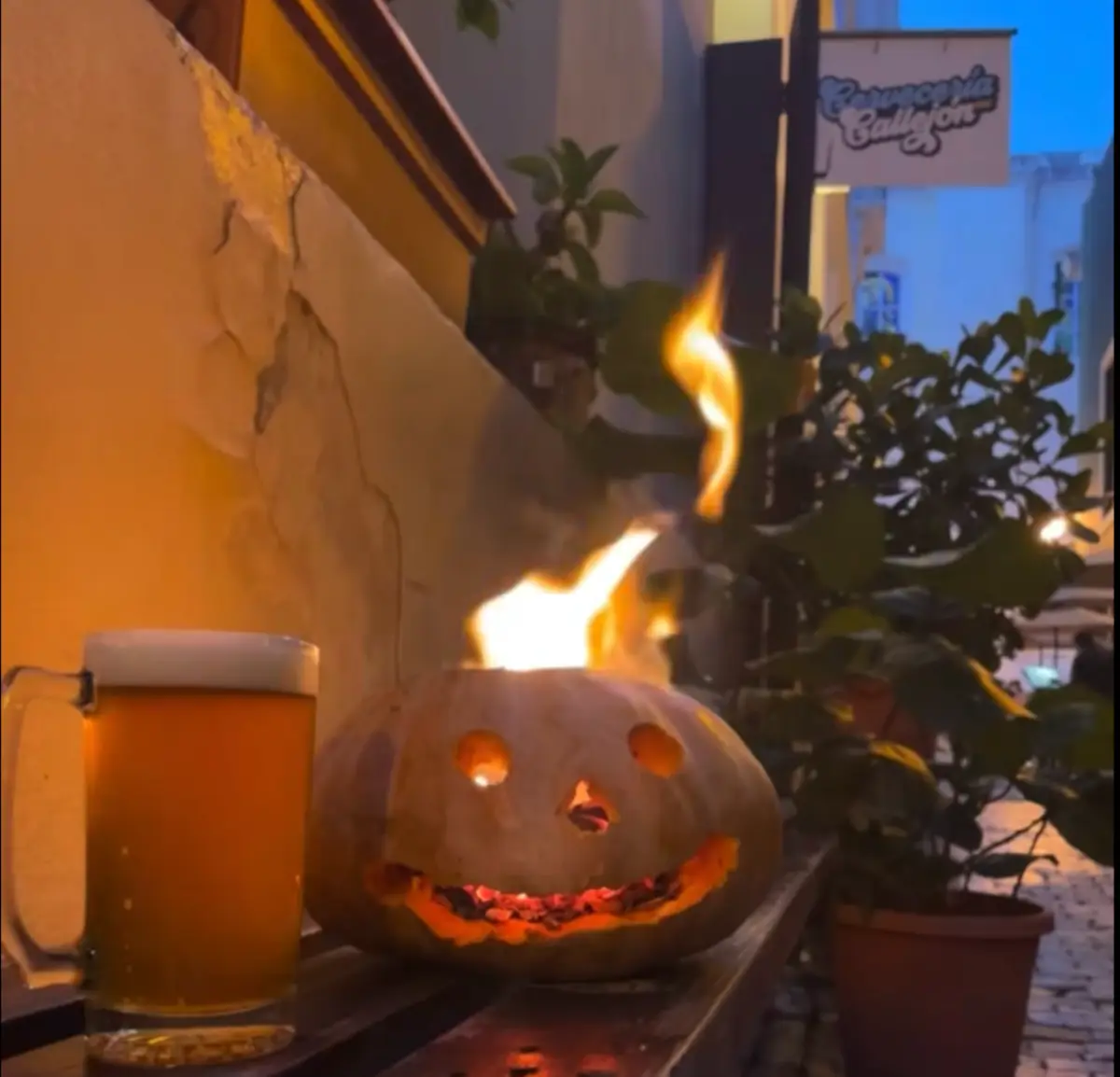 Calabaza en la Mesa is a Unique Fall Saison