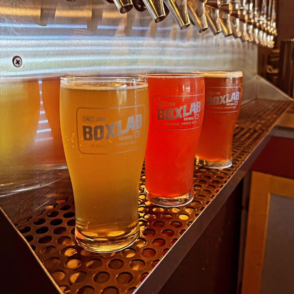 Boxlab's En Baja Table Beer Is Full of Character