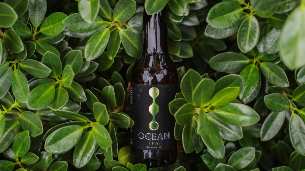 Ocean IPA Is Proof That Great IPAs Never Go Out of Style