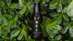 Ocean IPA Is Proof That Great IPAs Never Go Out of Style