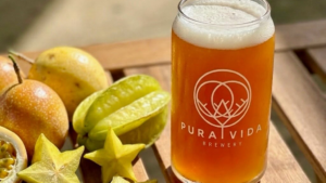 If You Love American IPAs, Try Piel de Otoño Next