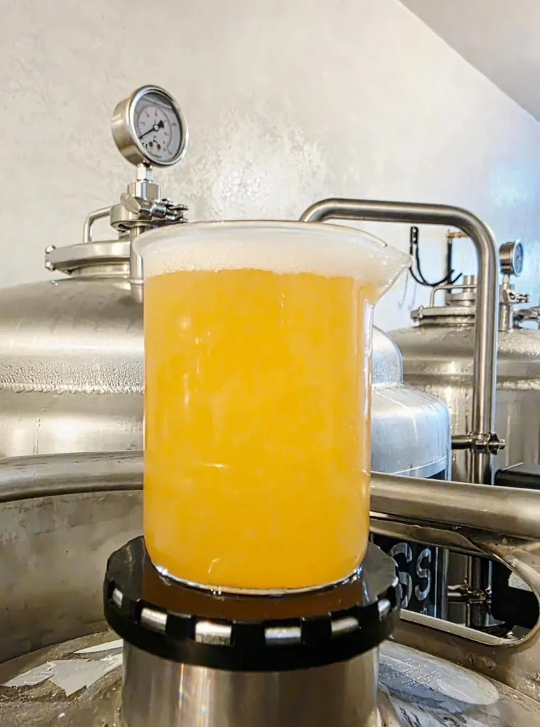 Visibilidad Cero: La Esquinita’s New 6.9% Hazy IPA